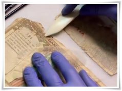 Tugas Konservator, Merawat Koleksi Museum dari Belakang Layar