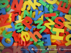 Politisi/kus, Pekerjaan atau Profesi?